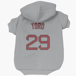 Boston Red Sox Abraham Toro Gray Pet Hoodie for Dog & Cat