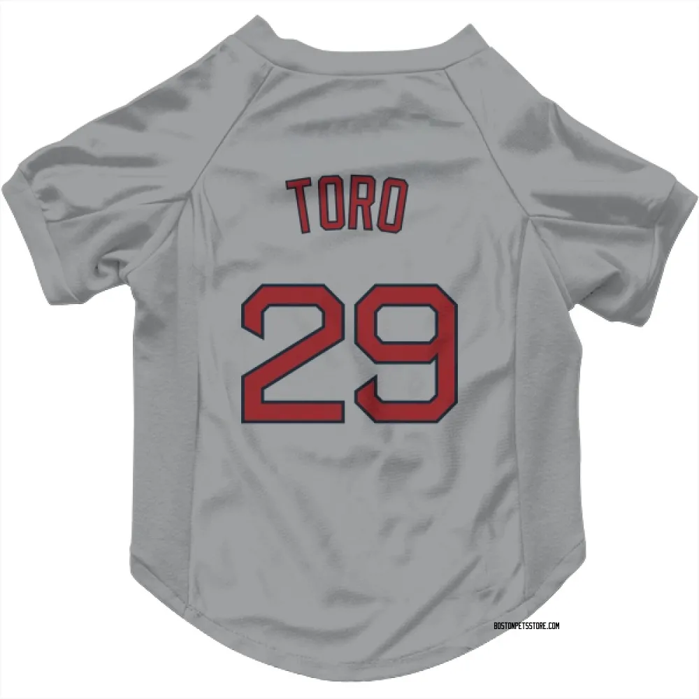 Boston Red Sox Abraham Toro Gray Pet Jersey for Dog & Cat
