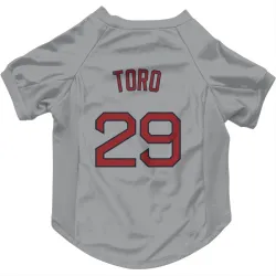 Boston Red Sox Abraham Toro Gray Pet Jersey for Dog & Cat
