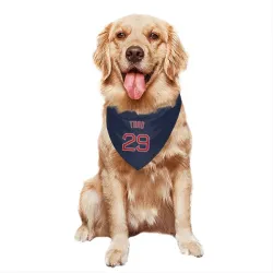 Boston Red Sox Abraham Toro Navy Pet Bandana for Dog & Cat