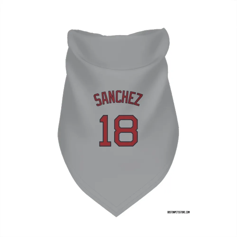 Boston Red Sox Ali Sanchez Gray Pet Bandana for Dog & Cat