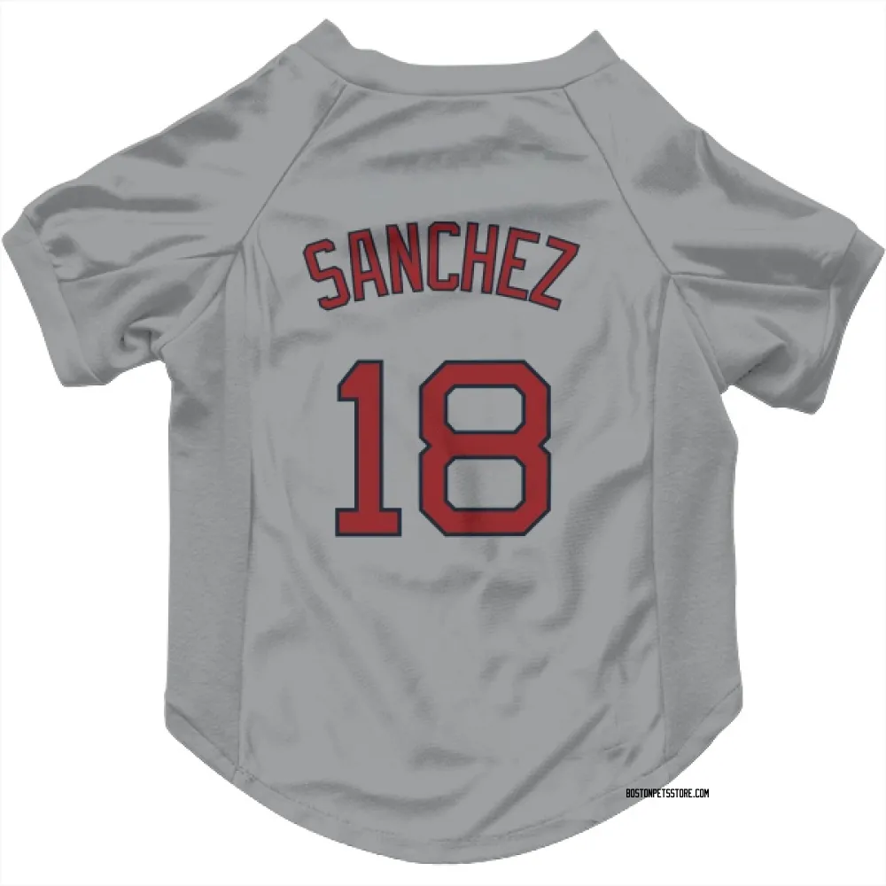 Boston Red Sox Ali Sanchez Gray Pet Jersey for Dog & Cat