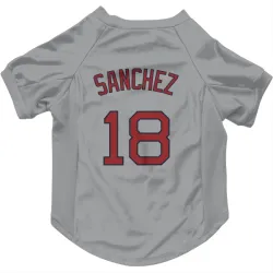 Boston Red Sox Ali Sanchez Gray Pet Jersey for Dog & Cat