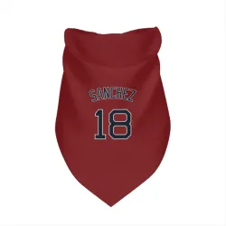 Boston Red Sox Ali Sanchez Red Pet Bandana for Dog & Cat