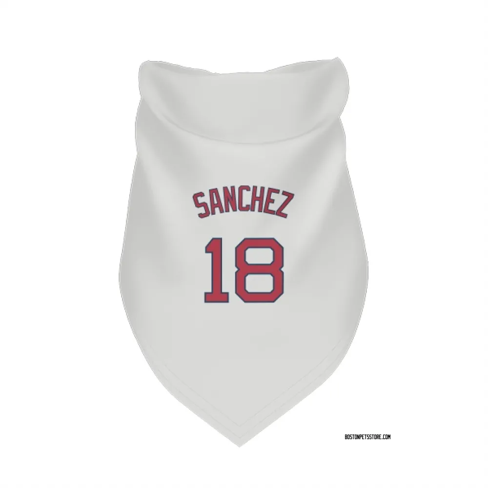 Boston Red Sox Ali Sanchez White Pet Bandana for Dog & Cat