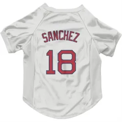 Boston Red Sox Ali Sanchez White Pet Jersey for Dog & Cat