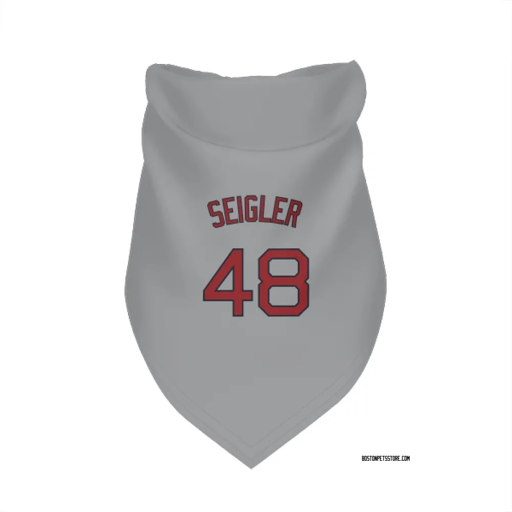 Boston Red Sox Anthony Seigler Gray Pet Bandana for Dog & Cat