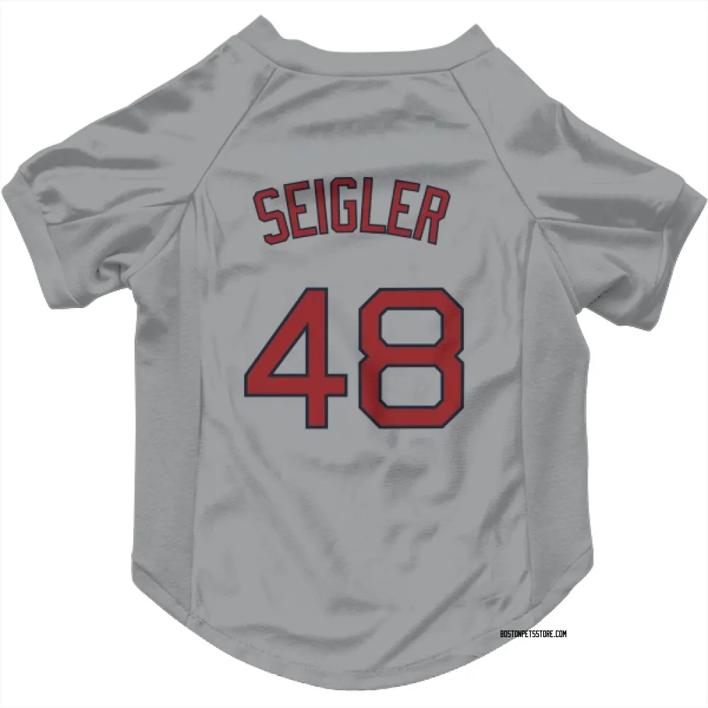 Boston Red Sox Anthony Seigler Gray Pet Jersey for Dog & Cat