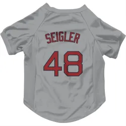 Boston Red Sox Anthony Seigler Gray Pet Jersey for Dog & Cat