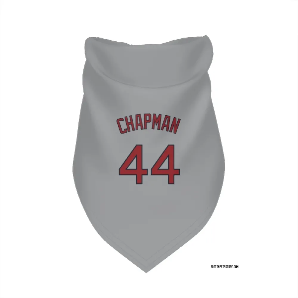 Boston Red Sox Aroldis Chapman Gray Pet Bandana for Dog & Cat