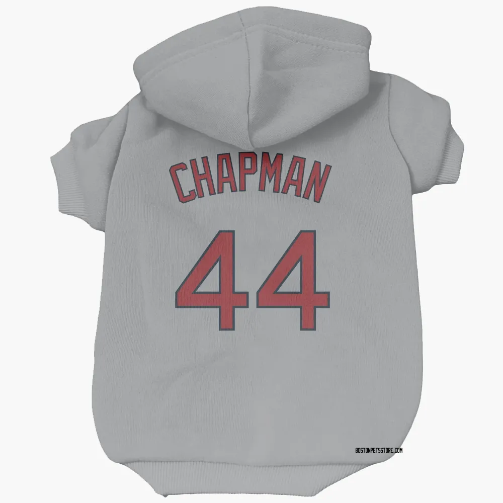 Boston Red Sox Aroldis Chapman Gray Pet Hoodie for Dog & Cat