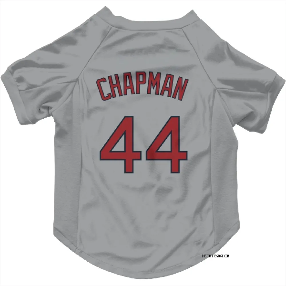 Boston Red Sox Aroldis Chapman Gray Pet Jersey for Dog & Cat