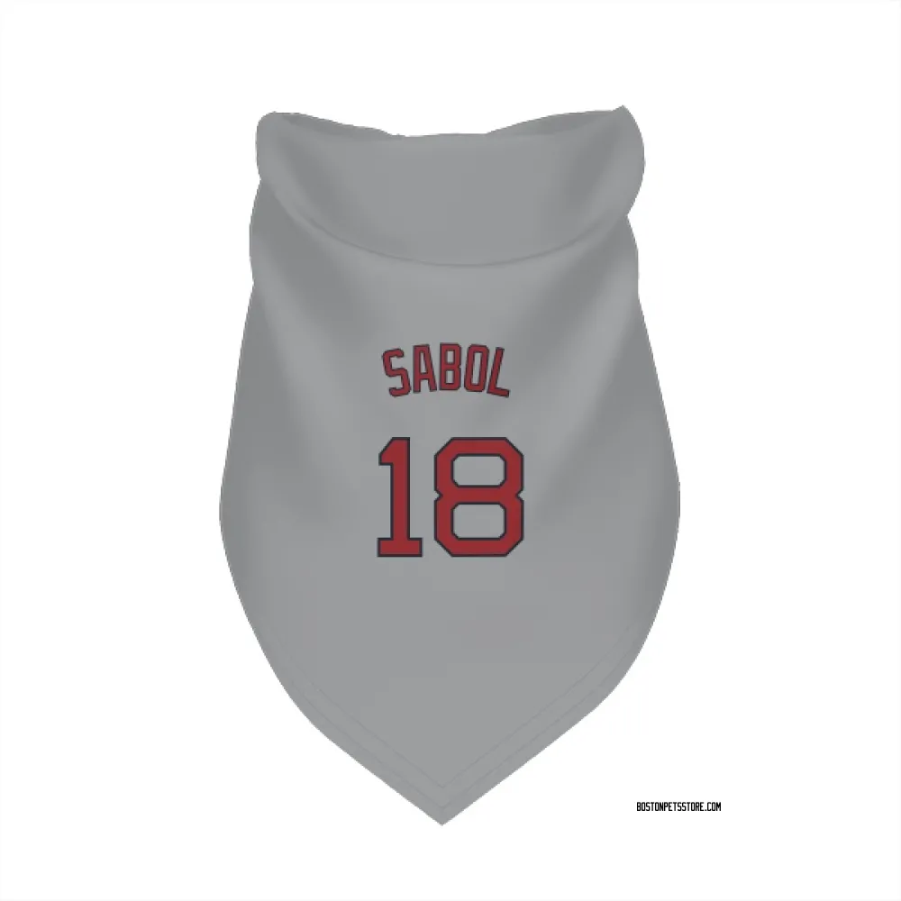 Boston Red Sox Blake Sabol Gray Pet Bandana for Dog & Cat