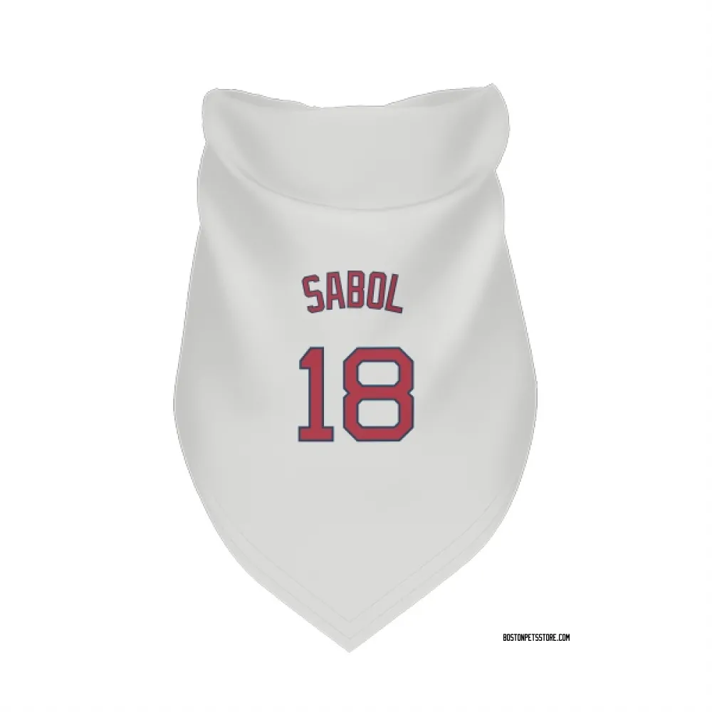 Boston Red Sox Blake Sabol White Pet Bandana for Dog & Cat