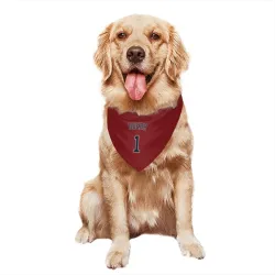 Boston Red Sox Bobby Doerr Red Pet Bandana for Dog & Cat