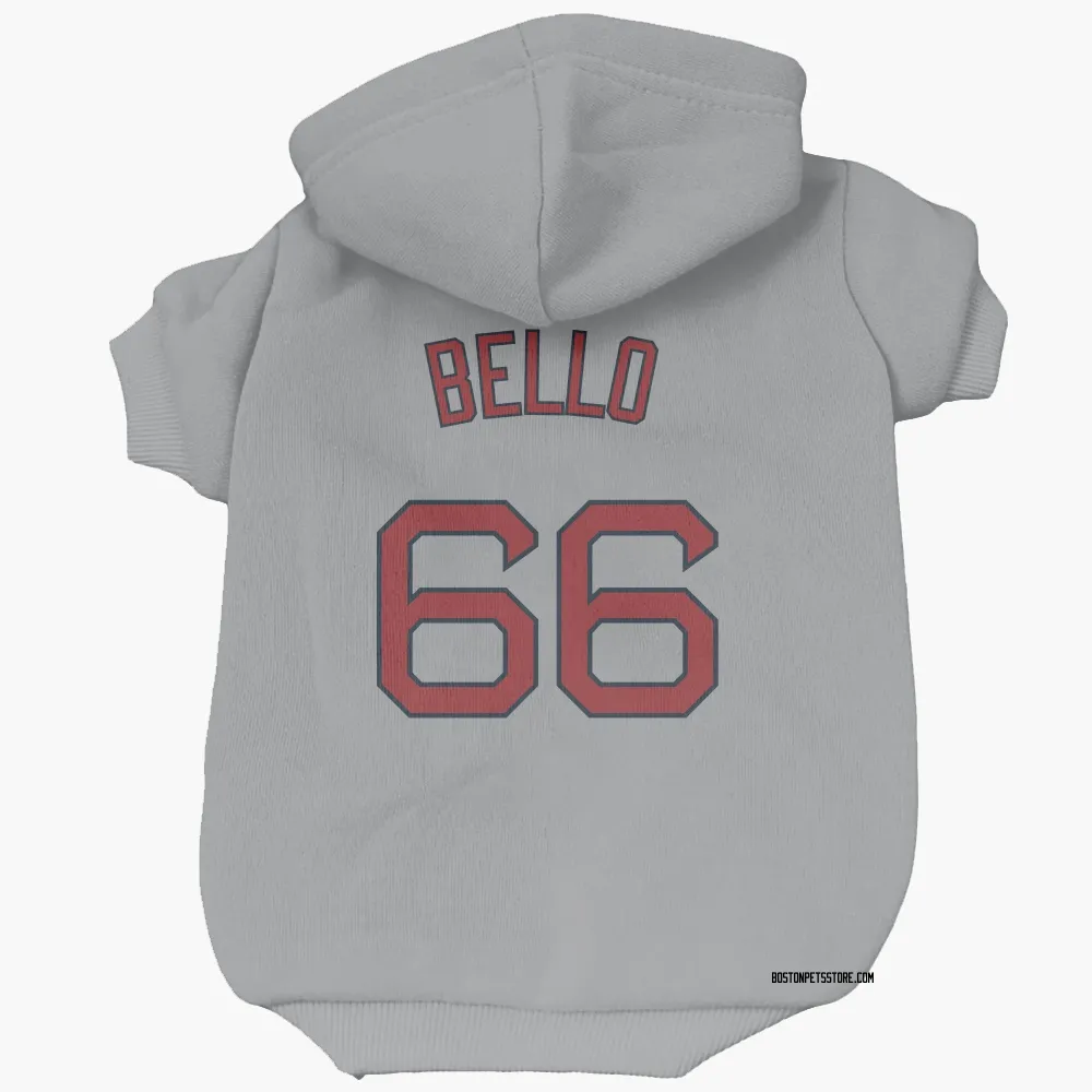 Boston Red Sox Brayan Bello Gray Pet Hoodie for Dog & Cat