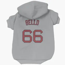 Boston Red Sox Brayan Bello Gray Pet Hoodie for Dog & Cat