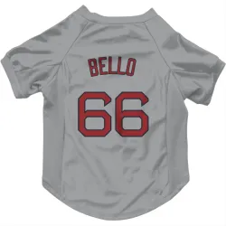 Boston Red Sox Brayan Bello Gray Pet Jersey for Dog & Cat