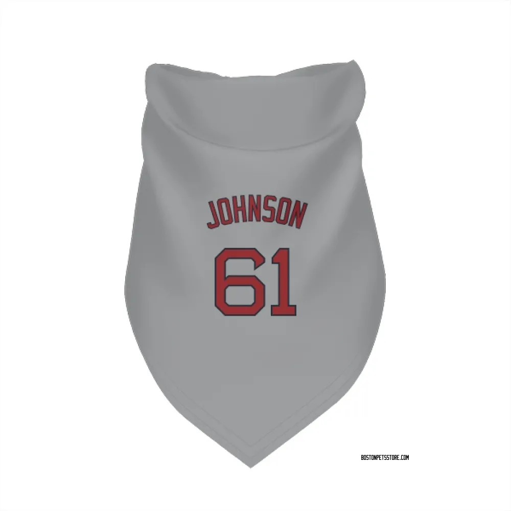 Boston Red Sox Brian Johnson Gray Pet Bandana for Dog & Cat