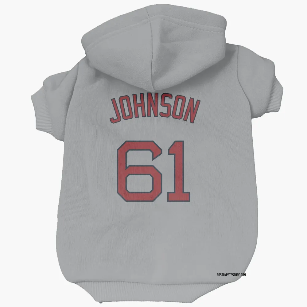 Boston Red Sox Brian Johnson Gray Pet Hoodie for Dog & Cat