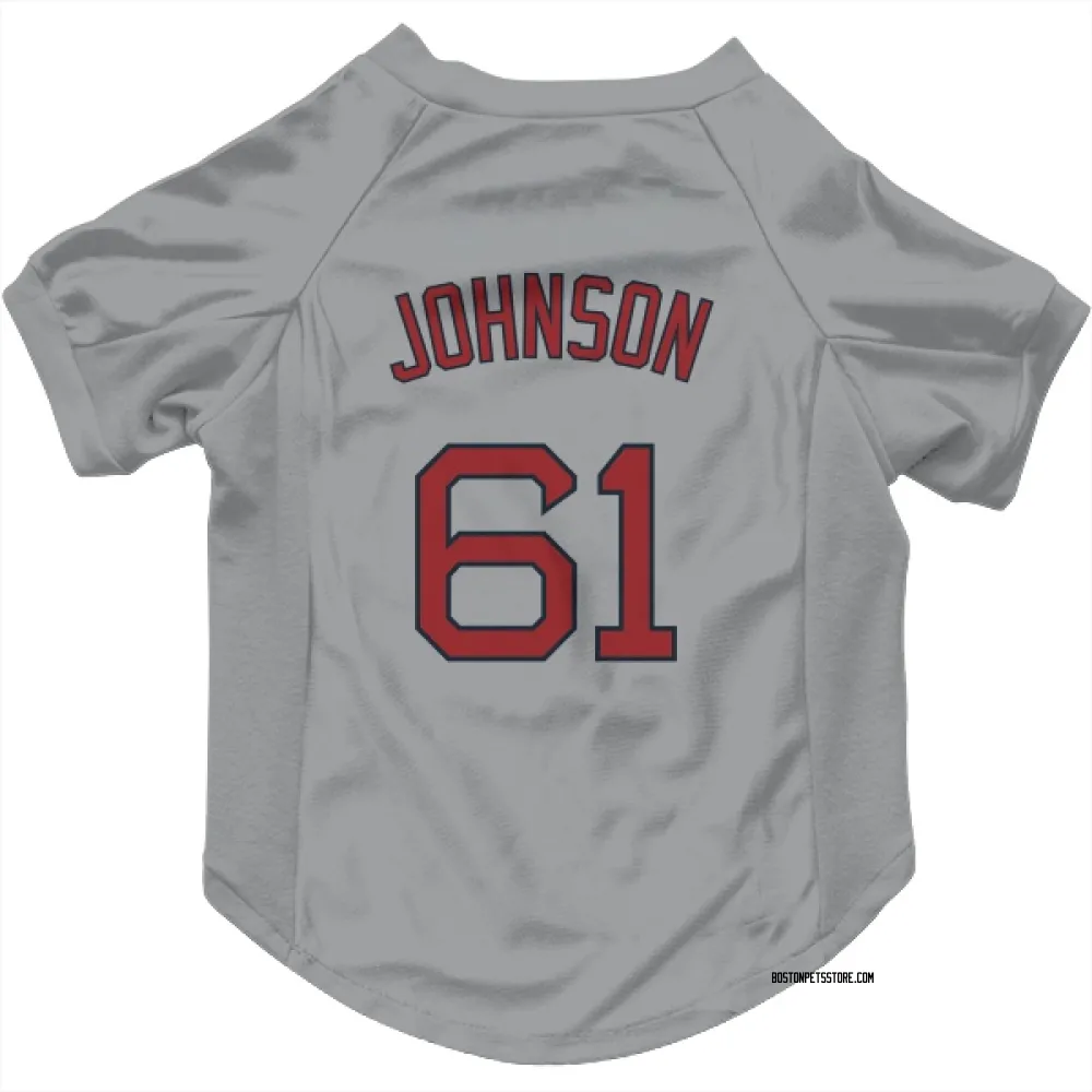 Boston Red Sox Brian Johnson Gray Pet Jersey for Dog & Cat
