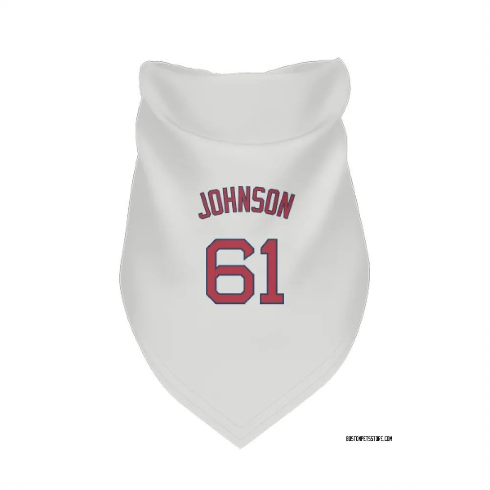 Boston Red Sox Brian Johnson White Pet Bandana for Dog & Cat