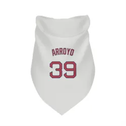 Boston Red Sox Christian Arroyo White Pet Bandana for Dog & Cat