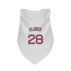 Boston Red Sox Corey Kluber White Pet Bandana for Dog & Cat