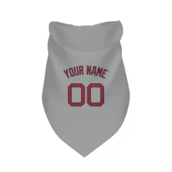 Boston Red Sox Custom Gray Pet Bandana for Dog & Cat