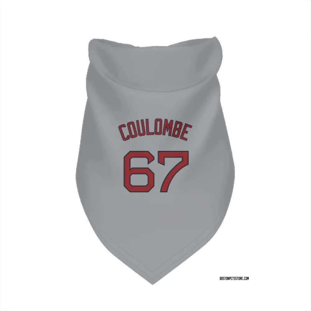 Boston Red Sox Danny Coulombe Gray Pet Bandana for Dog & Cat