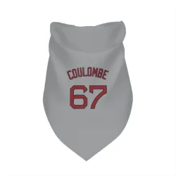 Boston Red Sox Danny Coulombe Gray Pet Bandana for Dog & Cat