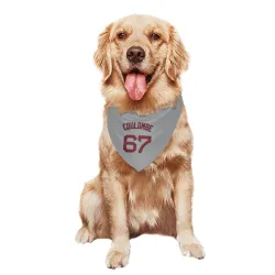 Boston Red Sox Danny Coulombe Gray Pet Bandana for Dog & Cat