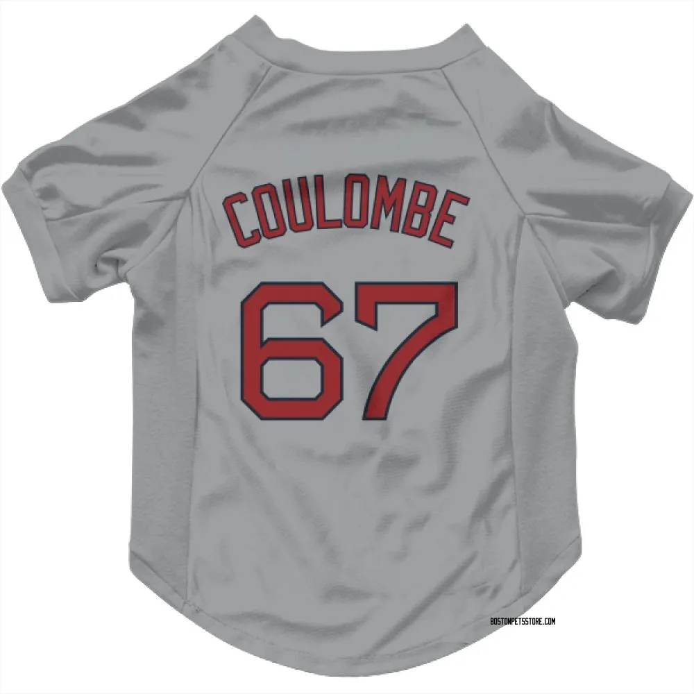 Boston Red Sox Danny Coulombe Gray Pet Jersey for Dog & Cat