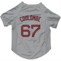 Boston Red Sox Danny Coulombe Gray Pet Jersey for Dog & Cat