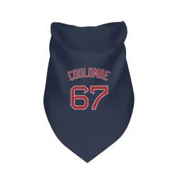 Boston Red Sox Danny Coulombe Navy Pet Bandana for Dog & Cat