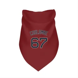 Boston Red Sox Danny Coulombe Red Pet Bandana for Dog & Cat