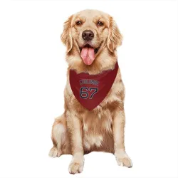 Boston Red Sox Danny Coulombe Red Pet Bandana for Dog & Cat