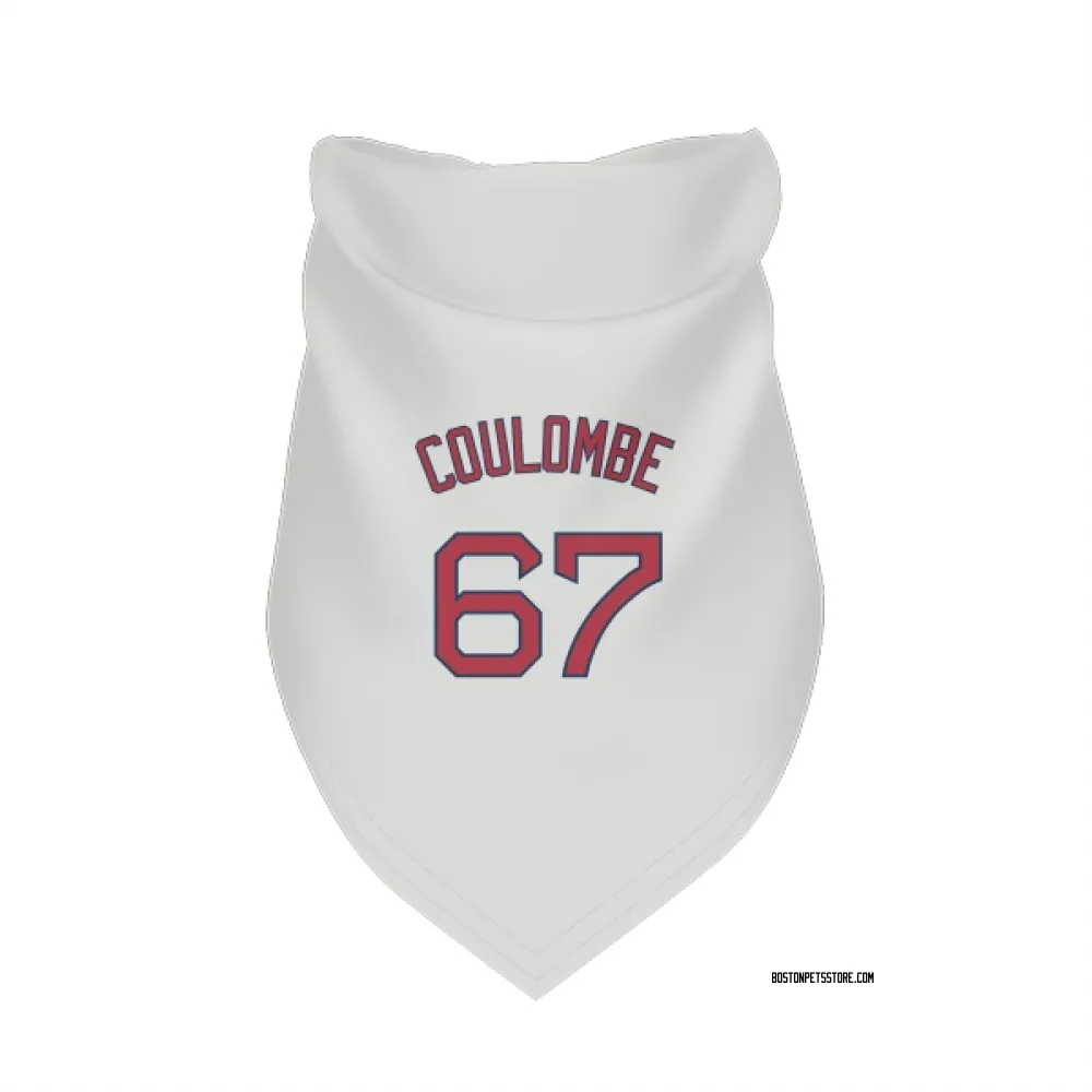 Boston Red Sox Danny Coulombe White Pet Bandana for Dog & Cat