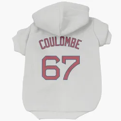Boston Red Sox Danny Coulombe White Pet Hoodie for Dog & Cat
