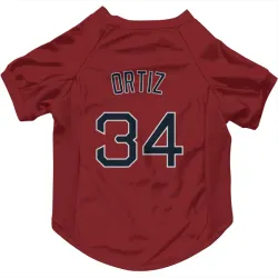 Boston Red Sox David Ortiz Red Pet Jersey for Dog & Cat