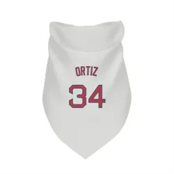 Boston Red Sox David Ortiz White Pet Bandana for Dog & Cat