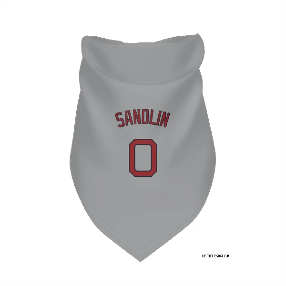 Boston Red Sox David Sandlin Gray Pet Bandana for Dog & Cat