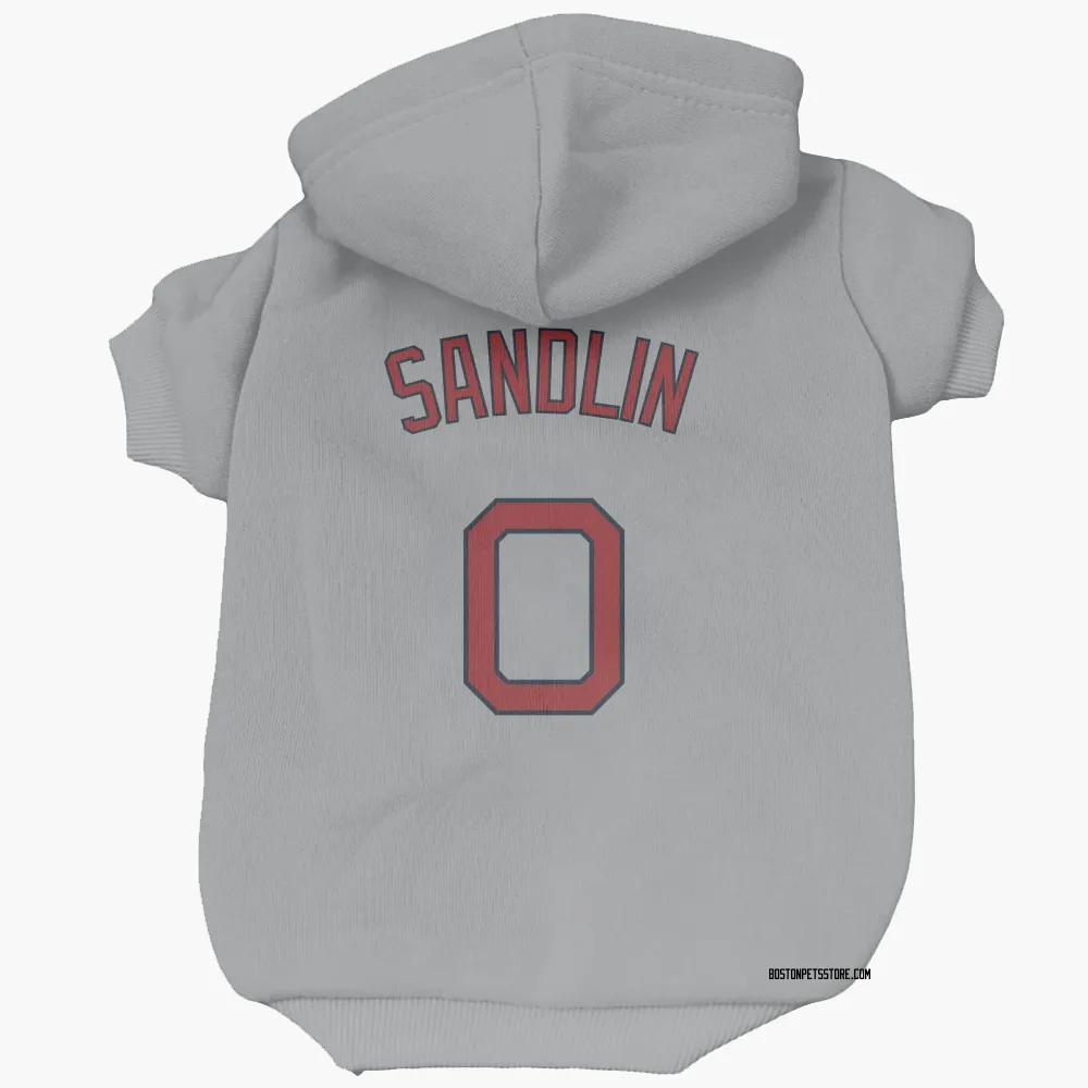 Boston Red Sox David Sandlin Gray Pet Hoodie for Dog & Cat