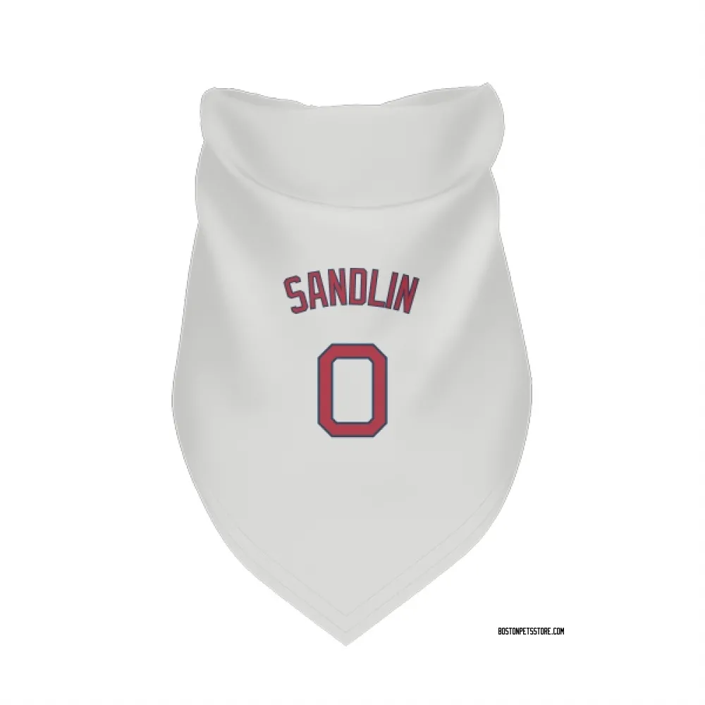 Boston Red Sox David Sandlin White Pet Bandana for Dog & Cat