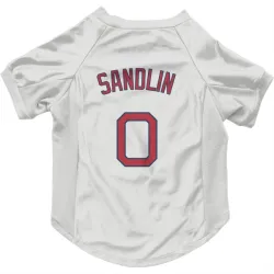 Boston Red Sox David Sandlin White Pet Jersey for Dog & Cat