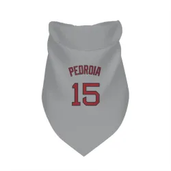 Boston Red Sox Dustin Pedroia Gray Pet Bandana for Dog & Cat