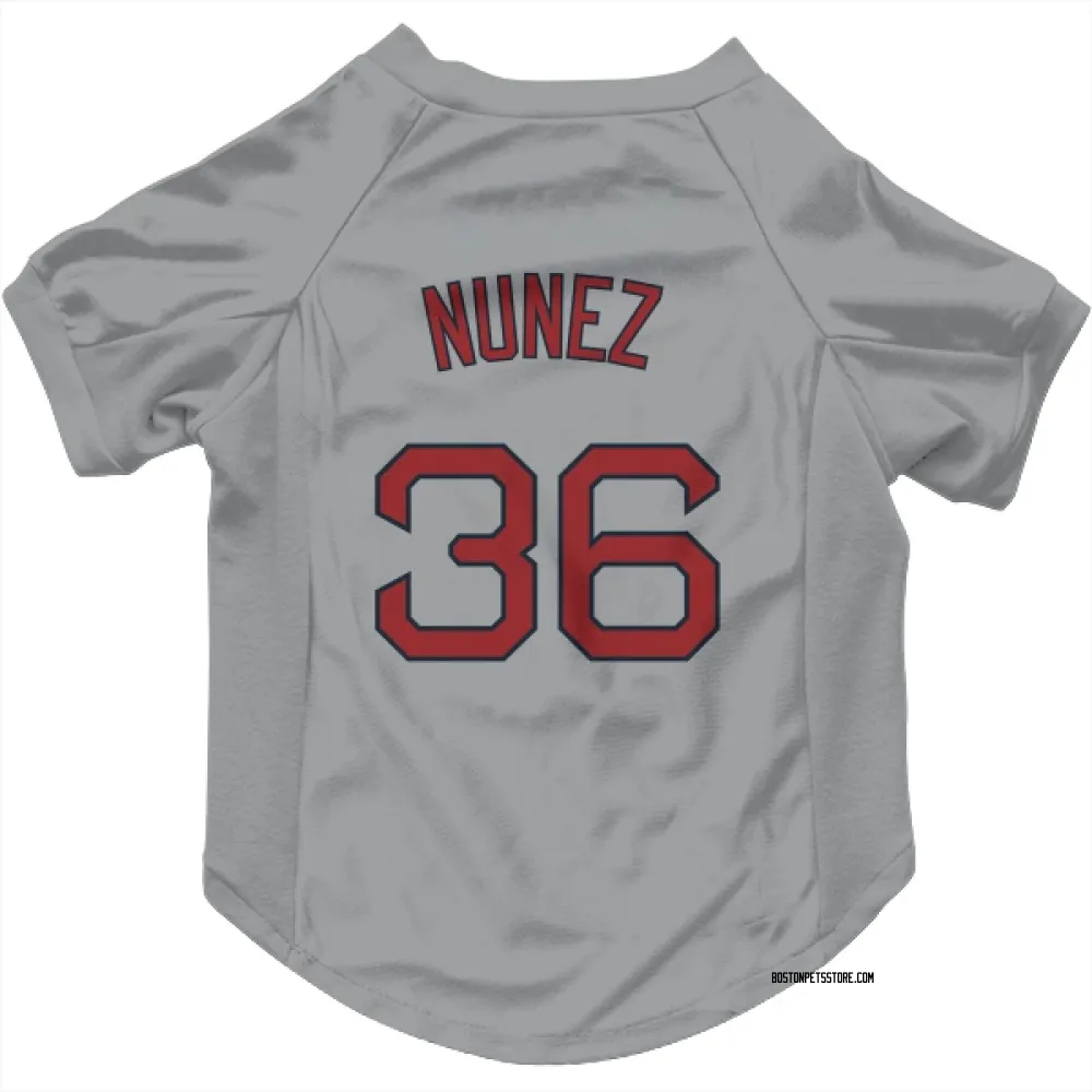Boston Red Sox Eduardo Nunez Gray Pet Jersey for Dog & Cat