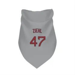 Boston Red Sox Gage Ziehl Gray Pet Bandana for Dog & Cat