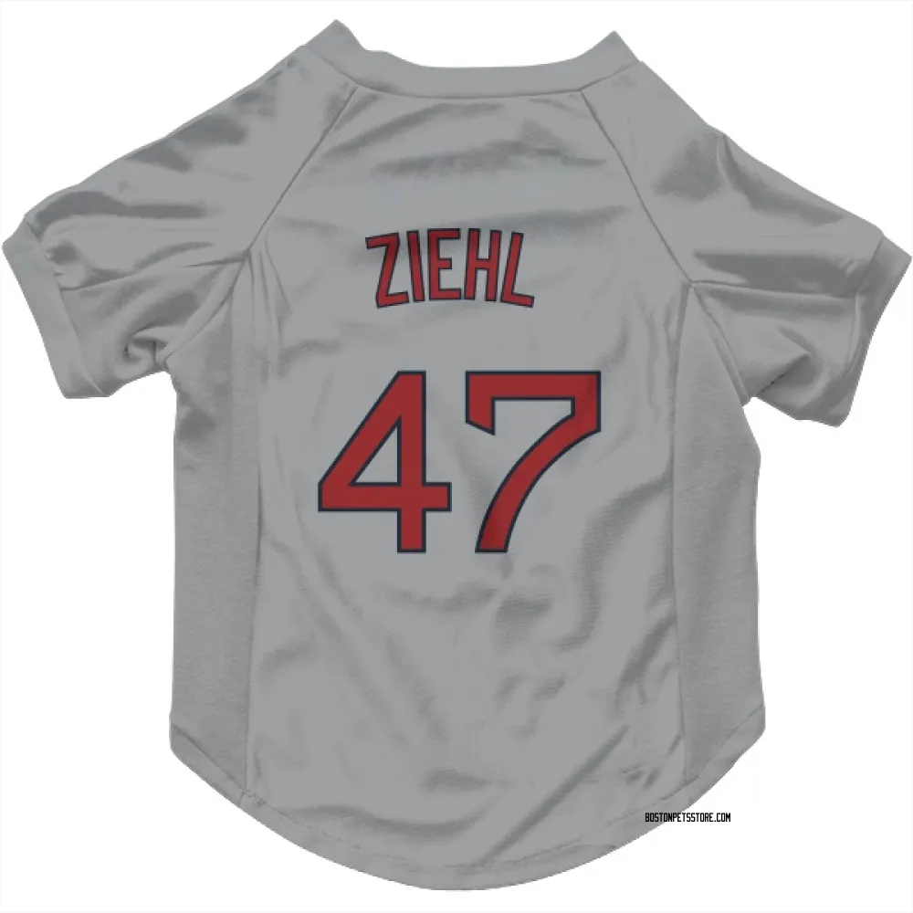 Boston Red Sox Gage Ziehl Gray Pet Jersey for Dog & Cat