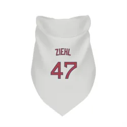 Boston Red Sox Gage Ziehl White Pet Bandana for Dog & Cat